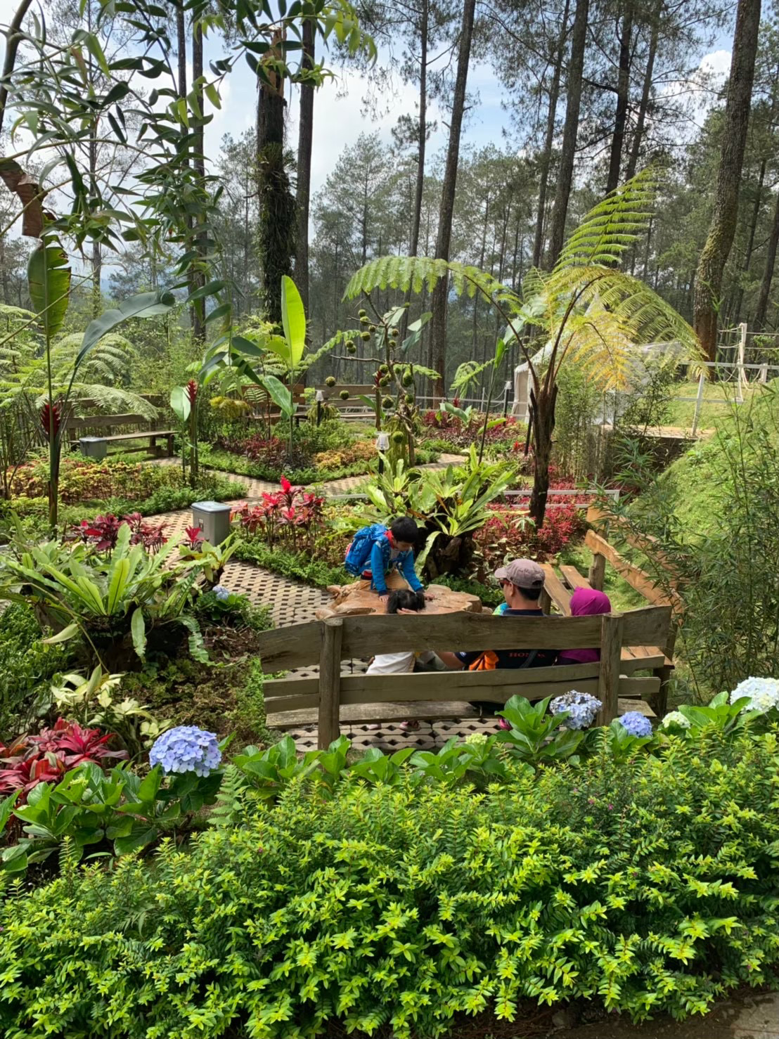 Rừng hoa lan Cikole, Bandung 🌲✨