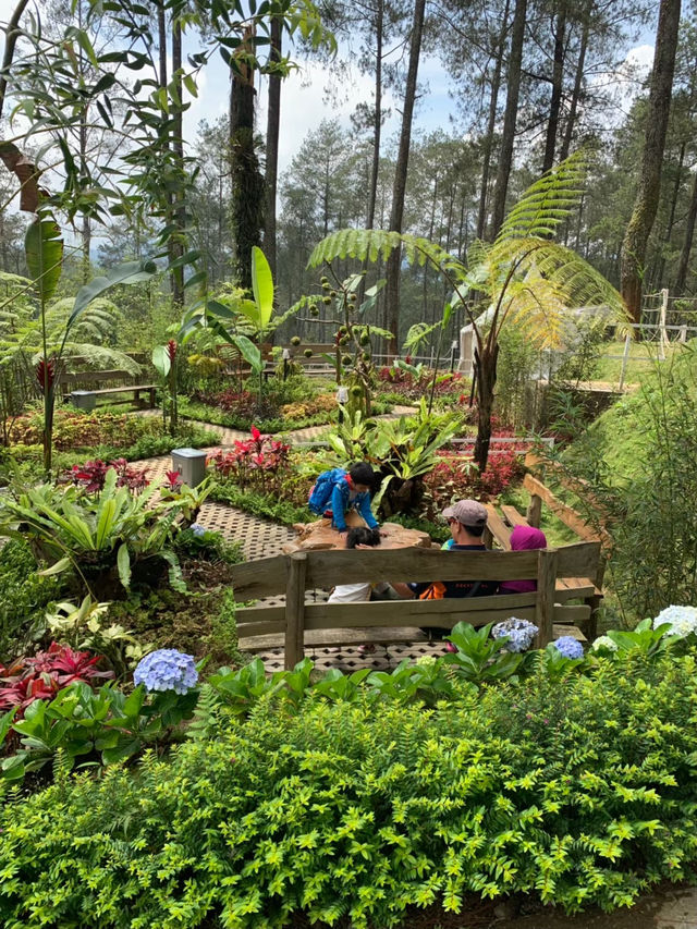 The Orchid Forest Cikole, Bandung 🌲✨