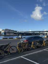 宜蘭超chill行程：空氣島彈跳工廠打卡+蘇澳漁港激平生魚片！羅東夜市掃街攻略🤩
