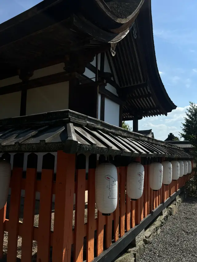 Hành trình độc quyền 4 ngày ở Kyoto