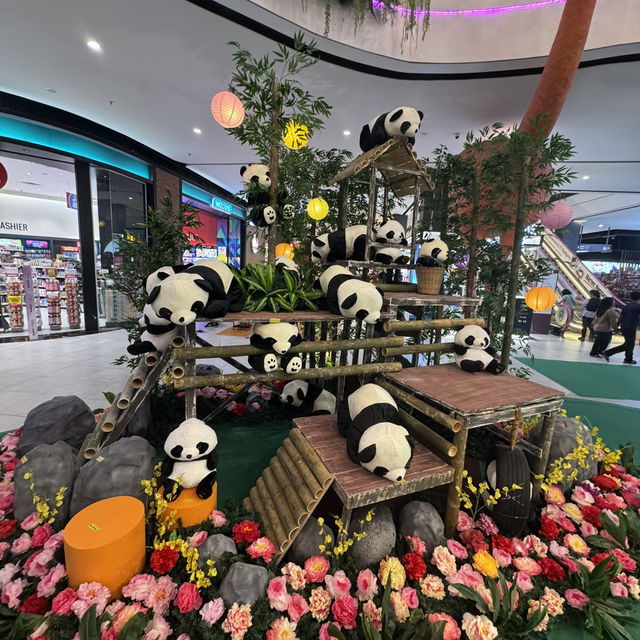 Panda Up Close🐼 & Celebratory Mid-Autumn Lantern Festival  Panda Up Close🐼 & Celebratory Mid-Autumn Lantern Festival