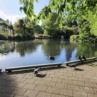 Dunedin Botanic Garden
