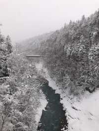 My road trip to Furano & Otaru