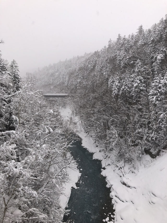 My road trip to Furano & Otaru My road trip to Furano & Otaru