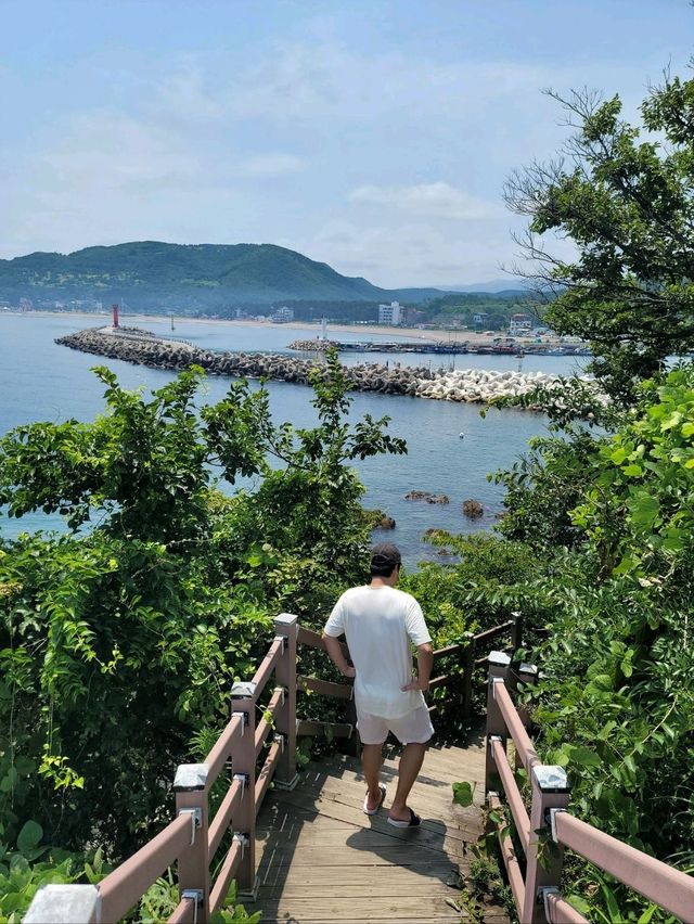 꼭한번 가봐야할 sns핫플 경주여행코스💙