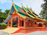 Discover Dragon 🐉 Temple Day Vibes☀️
