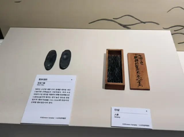 漫步釜山博物館，感受釜山的歷史與文化