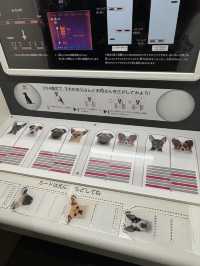 600円で1日楽しめる！映え科学館