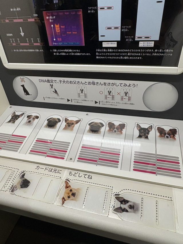 600円で1日楽しめる！映え科学館