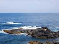 🐾 รีวิว: The Nobbies – จุดชมวิวและธรรมชาติ