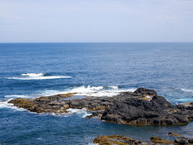 🐾 รีวิว: The Nobbies – จุดชมวิวและธรรมชาติ