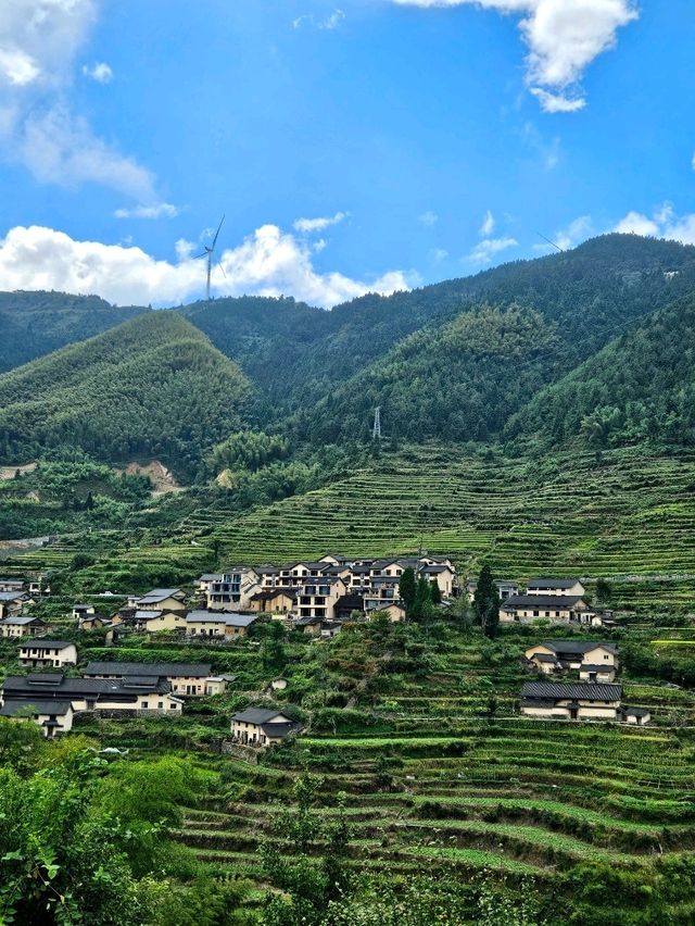 綠意盎然滿滿的云和梯田