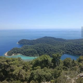 เอ็มแอลเจ็ต