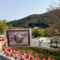 🎋✨ Katsuo-ji Temple – วัดดารุมะ (勝尾寺)
