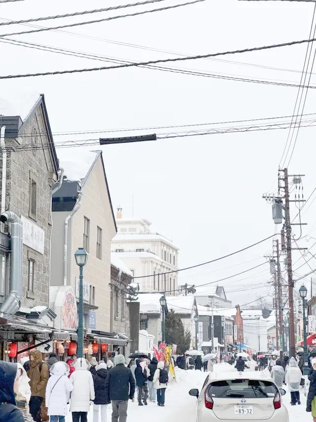 ❄️눈과 바다, 스시의 도시 ‘오타루’ 2박 3일 여행 일정