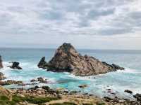 A Paradise of Nature, Beaches, and Quokkas!