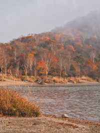 【穴場の紅葉】観光攻略付‼️山深い静寂の湖へ！🍁🏞️✨赤城山が生んだ神秘のカルデラ湖畔を歩く🚶‍♀️