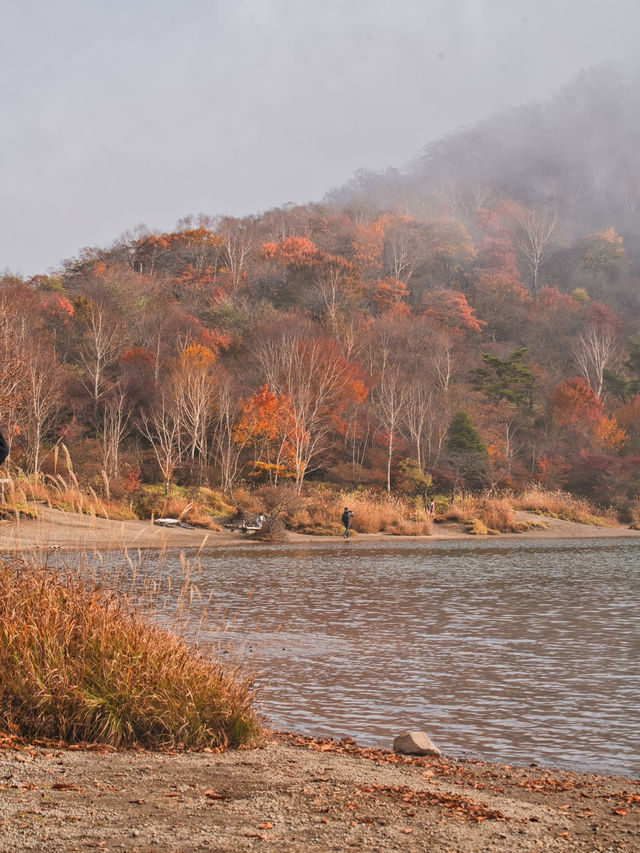 【穴場の紅葉】観光攻略付‼️山深い静寂の湖へ！🍁🏞️✨赤城山が生んだ神秘のカルデラ湖畔を歩く🚶‍♀️