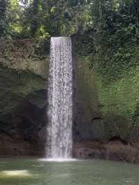 Ideal plan for Ubud 