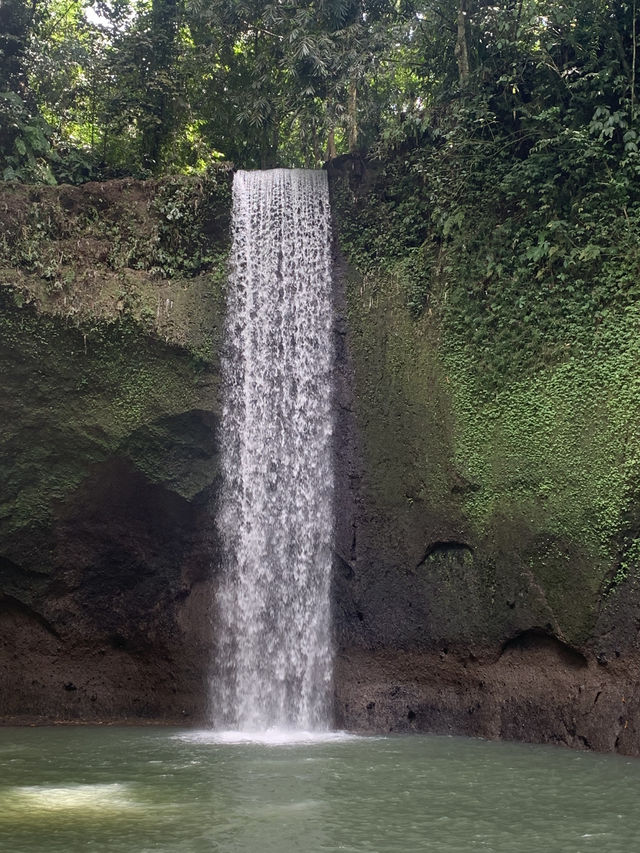Ideal plan for Ubud 