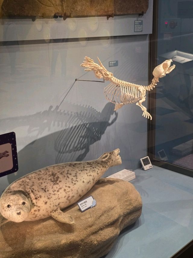 🐠 생명의 바다를 담은 다양한 어류전시 🐠 생명의 바다를 담은 다양한 어류전시