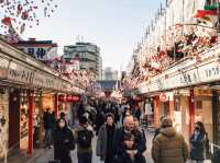 NAKAMISE STREET — The Soul of Asakusa