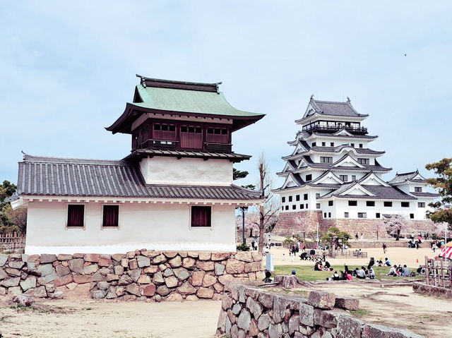 The Phoenix Castle: My Solo Visit to Fukuyama Castle The Phoenix Castle: My Solo Visit to Fukuyama Castle
