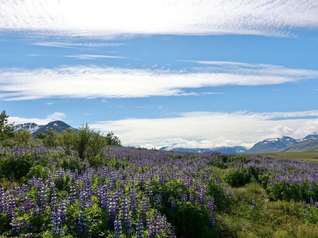 Epic Landscapes Along the Atlantic Coast Way Epic Landscapes Along the Atlantic Coast Way