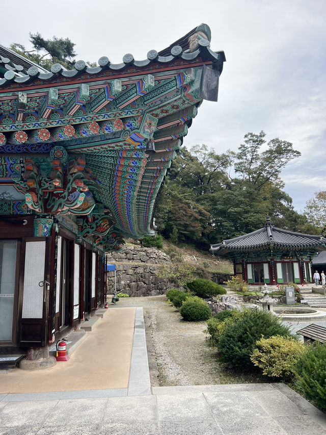 아름다운 계곡길을 지나 🏞️
