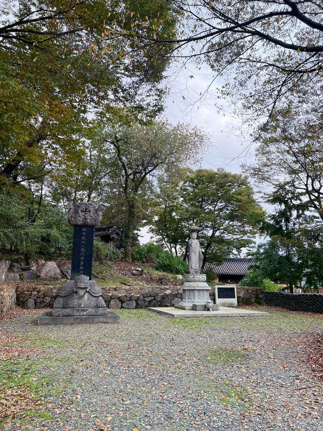 용문산 산책길🌿