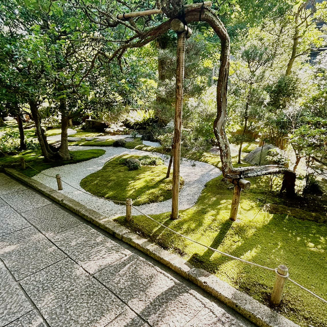 Solo Zen: Finding Peace in Hokokuji's Bamboo Grove