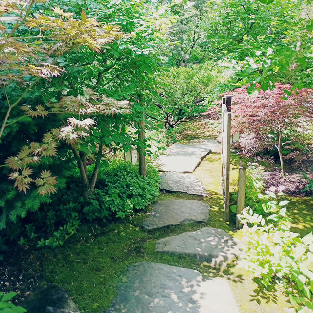 A Midwest Sanctuary: My Solo Day at Anderson Japanese Gardens, Rockford