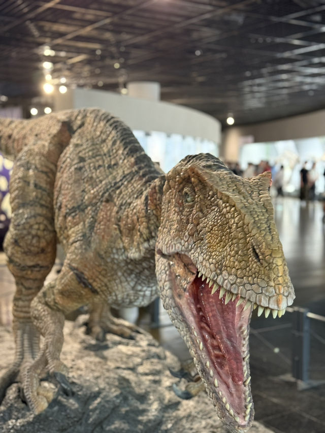 恐竜推しの街｜福井県立恐竜博物館
