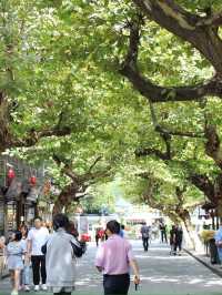 都江堰一日遊攻略：離堆公園、古城漫步與鏡面書閣