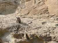 Black Sands and Wild Waves on the Edge of Fuerteventura