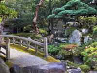 Your Solo Stroll Through Imperial Spring 