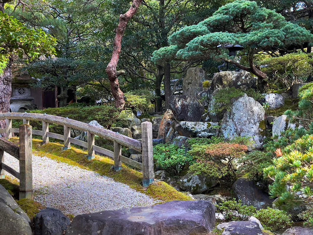 Your Solo Stroll Through Imperial Spring 