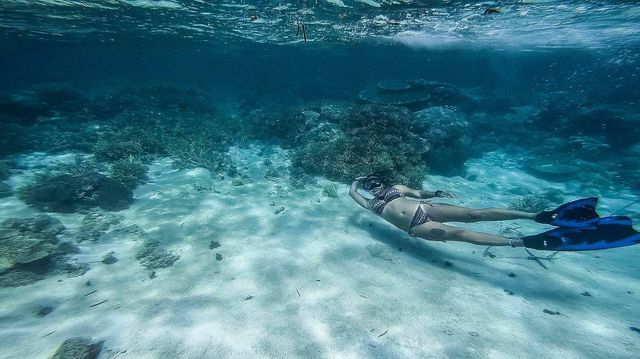 Onok Island - Paradise of sea turtle
