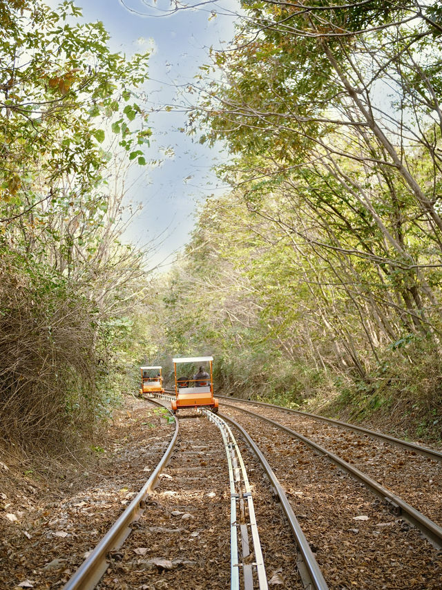 Scenic Pedal Fun😊 Scenic Pedal Adventure Along Bukhangang River