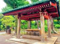 🌸 Nezu Shrine – A Serene Escape in Tokyo’s Old Neighborhood