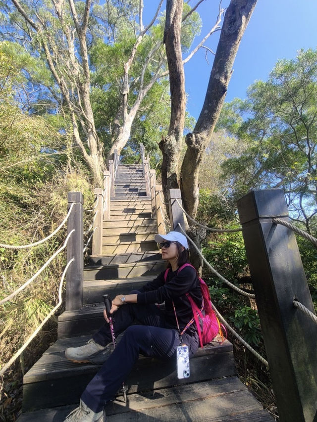 【新田步道・輕登小百岳-聚興山｜的山林小旅行】