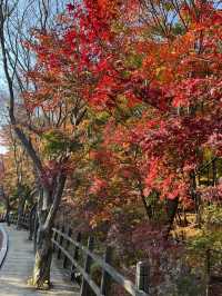 아차산과 워커힐 길을 오가며