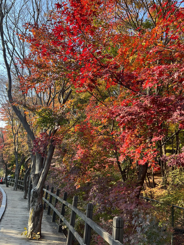 아차산과 워커힐 길을 오가며
