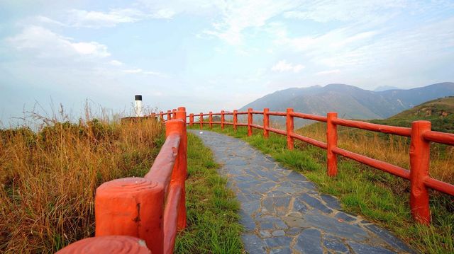 Tai O - Unique experience in HK