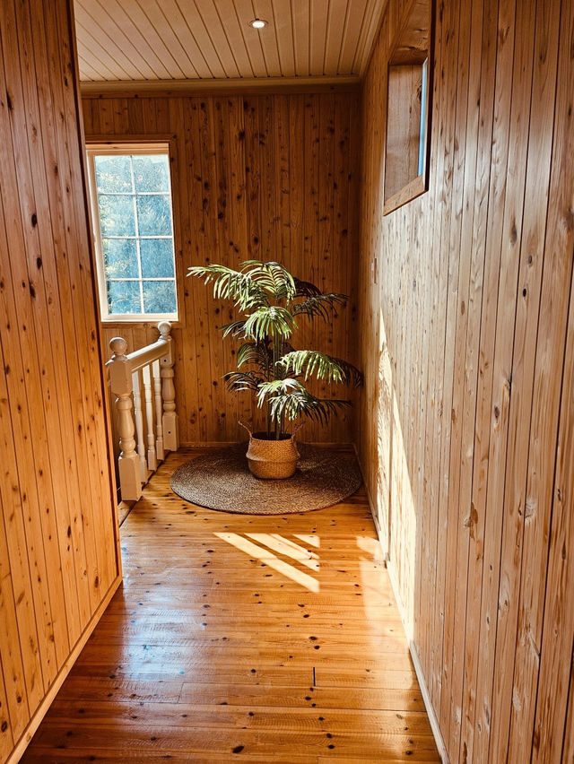 Accessible Coastal Beauty near Hyeopjae (협재)