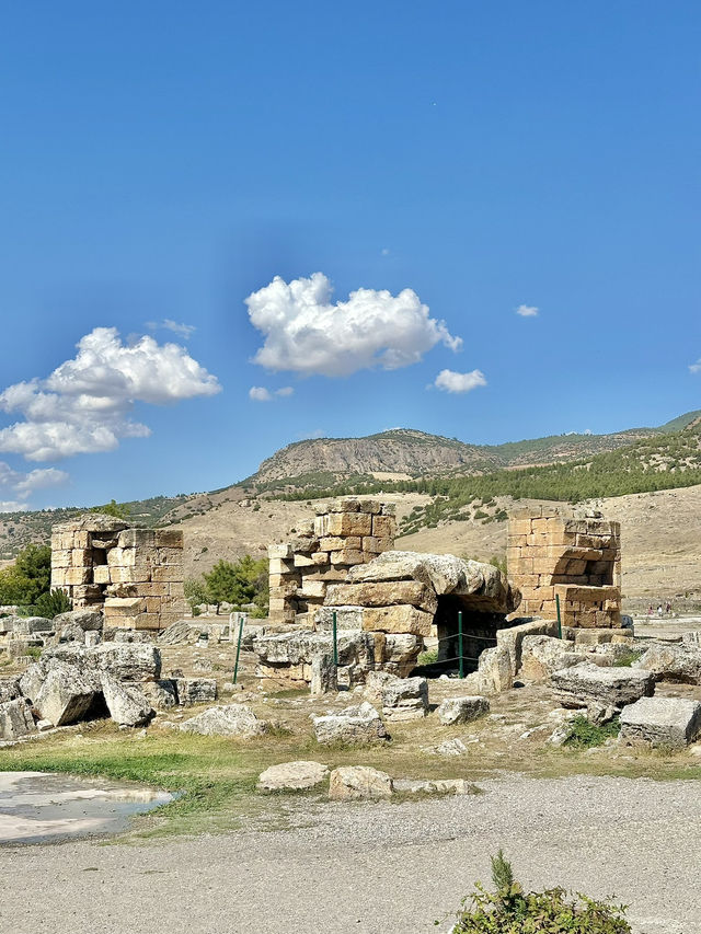 ์ด์์ ์ธ ํ๋ฌต์นผ๋ ! ์ด์์ ์ธ ํ๋ฌต์นผ๋ !