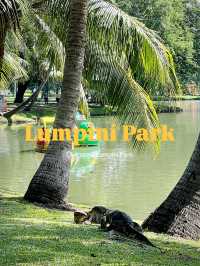 🇹🇭 방콕 센트럴파크 100배 즐기기 