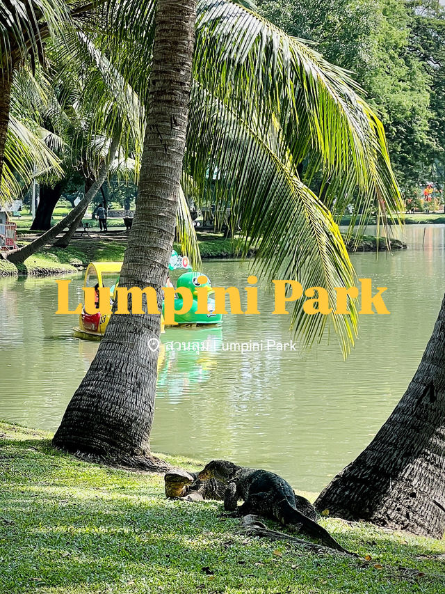 🇹🇭 방콕 센트럴파크 100배 즐기기 