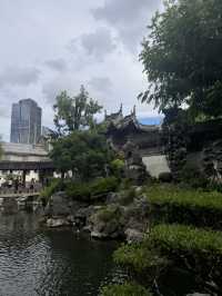 Shanghai Gardens🍁