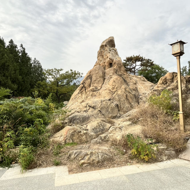 Calm Before the Climb: The Perfect Taishan Trio